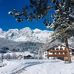 Menardi 3*