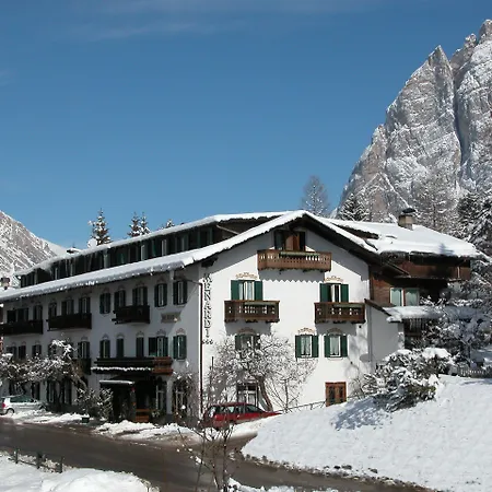 Menardi