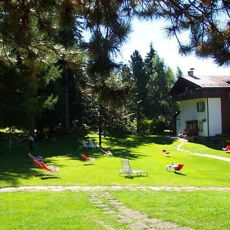 Menardi