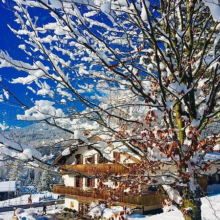 Menardi Hotel Cortina dʼAmpezzo