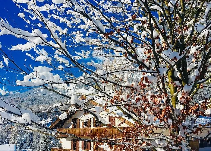 Menardi Szálloda Cortina dʼAmpezzo